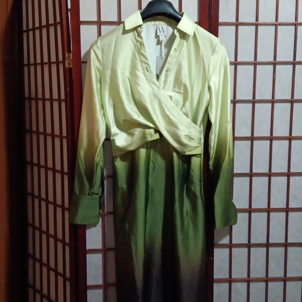 Worthington Green Ombre LS Satin Dress